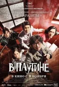 В паутине