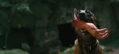 Фоллаут 2 сезон кадр 6